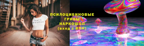 соль ск Алексеевка