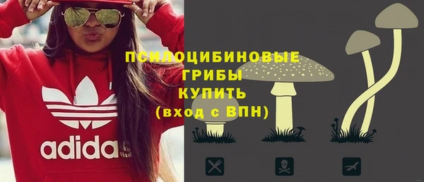 ПСИЛОЦИБИНОВЫЕ ГРИБЫ Алексин
